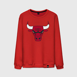 Мужской свитшот Chicago Bulls