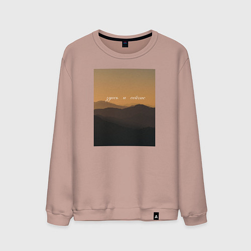 Мужской свитшот Здесь и сейчас / Пыльно-розовый – фото 1