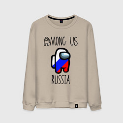 Мужской свитшот AMONG US