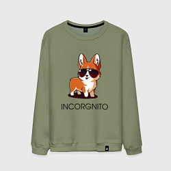 Свитшот хлопковый мужской ИНКОРГНИТО, цвет: авокадо