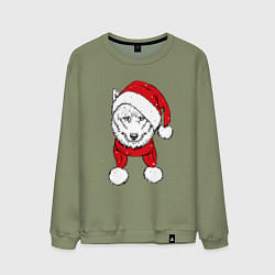 Свитшот хлопковый мужской Wolf hipster, цвет: авокадо