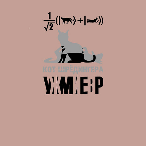 Мужской свитшот Кот Шредингера / Пыльно-розовый – фото 3