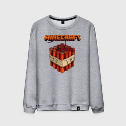 Мужской свитшот Minecraft
