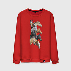 Свитшот хлопковый мужской Лошади, цвет: красный