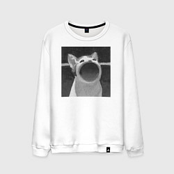 Мужской свитшот ЧБ Pop Cat