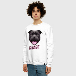 Свитшот хлопковый мужской DMX Low Poly Boomer Dog, цвет: белый — фото 2