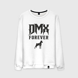 Мужской свитшот DMX Forever