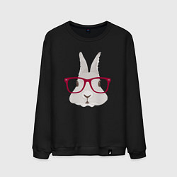 Свитшот хлопковый мужской Кролик Хипстер, цвет: черный