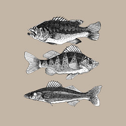 Свитшот хлопковый мужской Караси, цвет: миндальный — фото 2