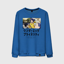 Мужской свитшот Приоритет чудо-яйца