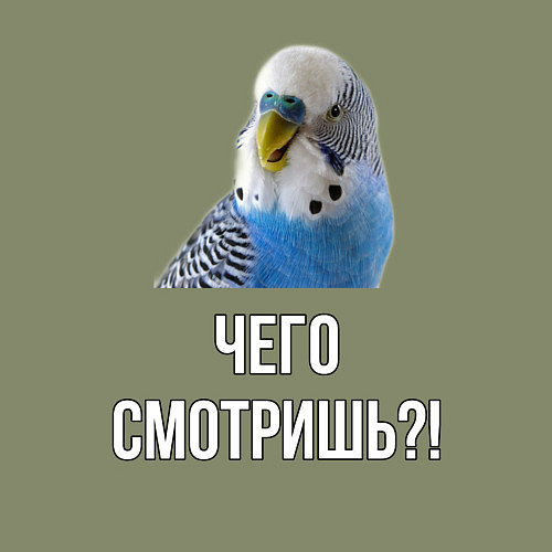 Мужской свитшот Чего смотришь!? / Авокадо – фото 3