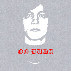 Свитшот хлопковый мужской OG BUDA, цвет: меланж — фото 2