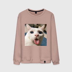 Свитшот хлопковый мужской Мем про кота, цвет: пыльно-розовый