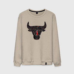 Свитшот хлопковый мужской Bulls - Jordan, цвет: миндальный