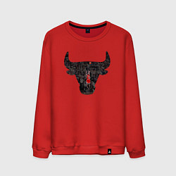 Мужской свитшот Bulls - Jordan