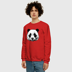 Свитшот хлопковый мужской Голова панды, цвет: красный — фото 2