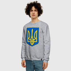 Свитшот хлопковый мужской Украина Герб Украины, цвет: меланж — фото 2
