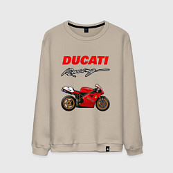 Свитшот хлопковый мужской DUCATI ДУКАТИ MOTOSPORT, цвет: миндальный