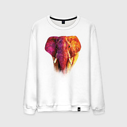 Свитшот хлопковый мужской Слон акварельный, цвет: белый