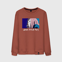 Мужской свитшот Never knows best color