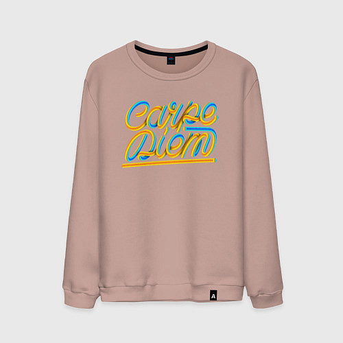 Мужской свитшот Лови Момент / Пыльно-розовый – фото 1