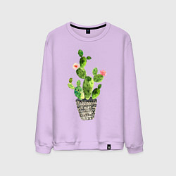 Мужской свитшот Я колючий только с наружи