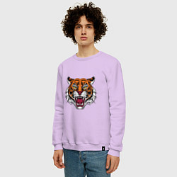 Свитшот хлопковый мужской Style - Tiger, цвет: лаванда — фото 2