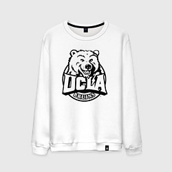 Свитшот хлопковый мужской UCLA, цвет: белый