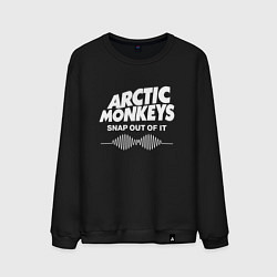 Мужской свитшот Arctic Monkeys, группа