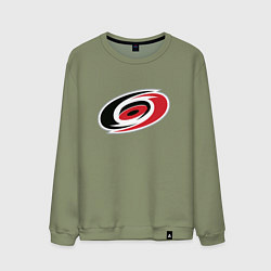 Свитшот хлопковый мужской Каролина Харрикейнз логотип, цвет: авокадо