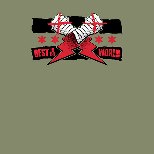 Мужской свитшот CM Punk AEW BITW / Авокадо – фото 3