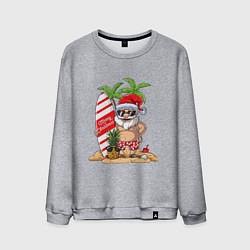Мужской свитшот Santa on Vibe