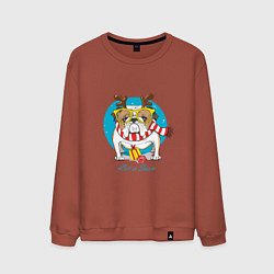 Свитшот хлопковый мужской Let it Snow, цвет: кирпичный