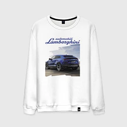 Свитшот хлопковый мужской Lamborghini Urus Sport, цвет: белый