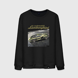 Мужской свитшот Lamborghini Motorsport sketch