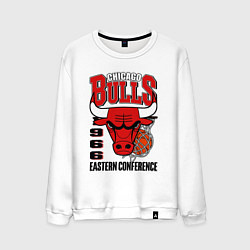 Мужской свитшот Chicago Bulls NBA