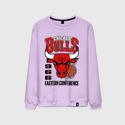 Свитшот хлопковый мужской Chicago Bulls NBA, цвет: лаванда