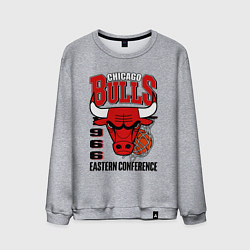 Мужской свитшот Chicago Bulls NBA