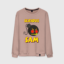 Свитшот хлопковый мужской Serious Sam Bomb Logo, цвет: пыльно-розовый