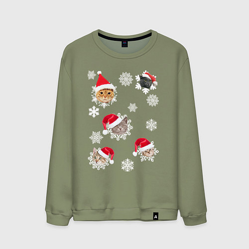 Мужской свитшот Новогодние Коты в Шапках / Авокадо – фото 1