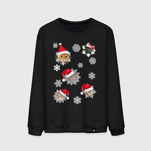 Мужской свитшот Новогодние Коты в Шапках / Черный – фото 1