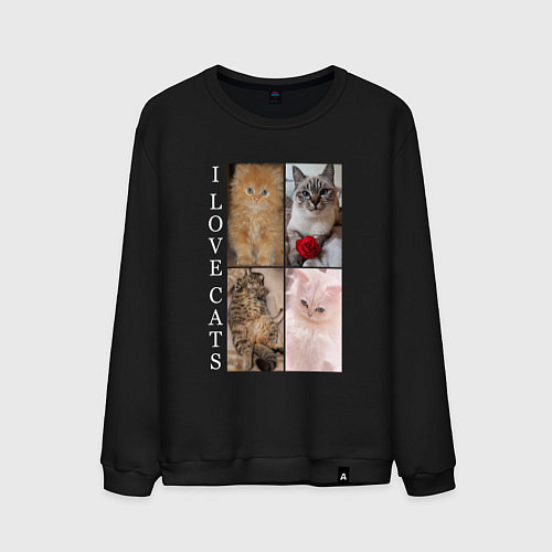 Мужской свитшот I LOVE CATS Я ЛЮБЛЮ КОШЕК / Черный – фото 1