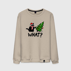 Свитшот хлопковый мужской WHAT? КОТ РОНЯЕТ ЁЛКУ, цвет: миндальный