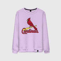 Свитшот хлопковый мужской St Louis Cardinals - baseball team, цвет: лаванда