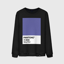 Свитшот хлопковый мужской Цвет Pantone 2022 года - Very Peri, цвет: черный