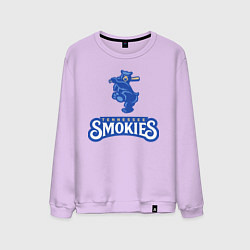 Мужской свитшот Tennessee smokies - baseball team