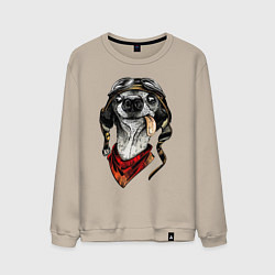 Мужской свитшот Biker dog