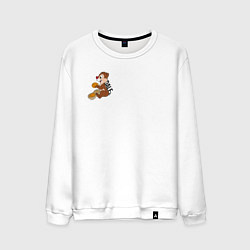 Мужской свитшот Chipmunk Dale