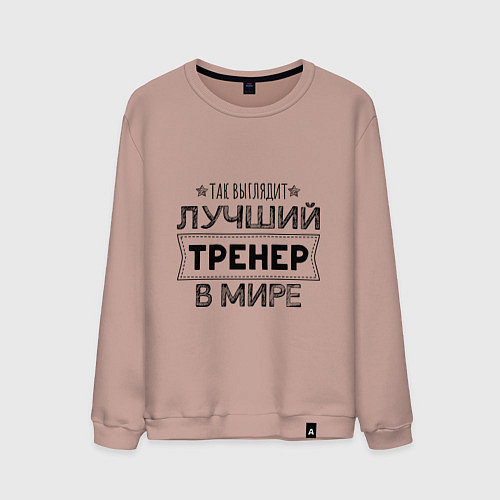 Мужской свитшот Так выглядит ЛУЧШИЙ ТРЕНЕР в мире / Пыльно-розовый – фото 1