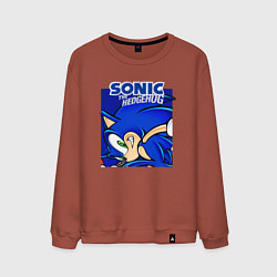 Свитшот хлопковый мужской Sonic Adventure Sonic, цвет: кирпичный